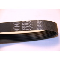 254-255 Treadmill Drive Belt